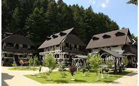 Complex Lions Bucovina